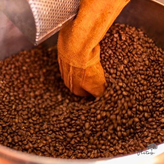 Café tostado en grano