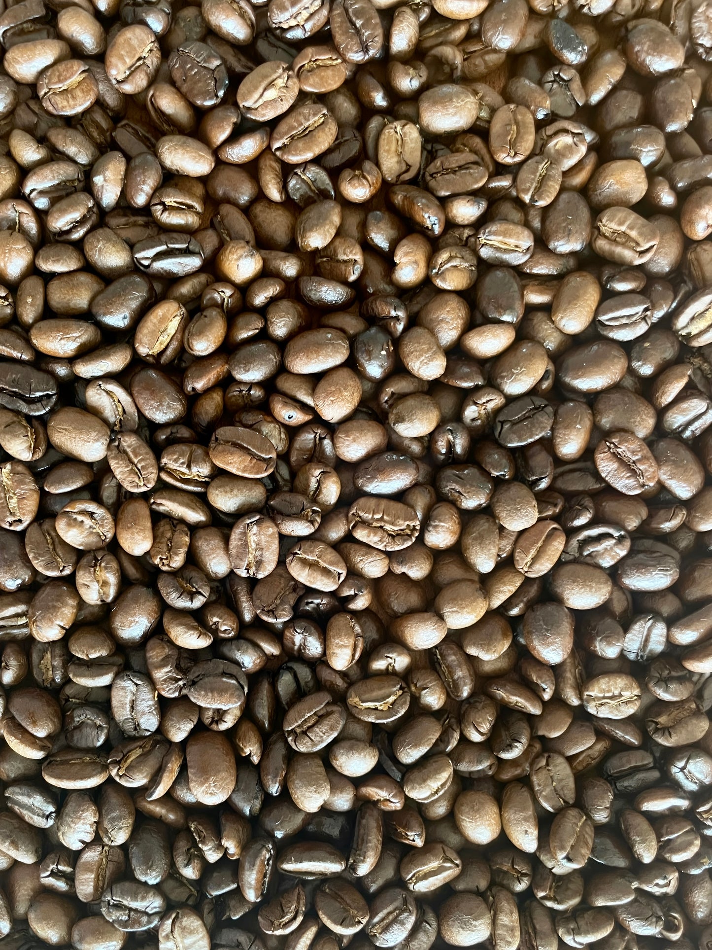 Café tostado en grano